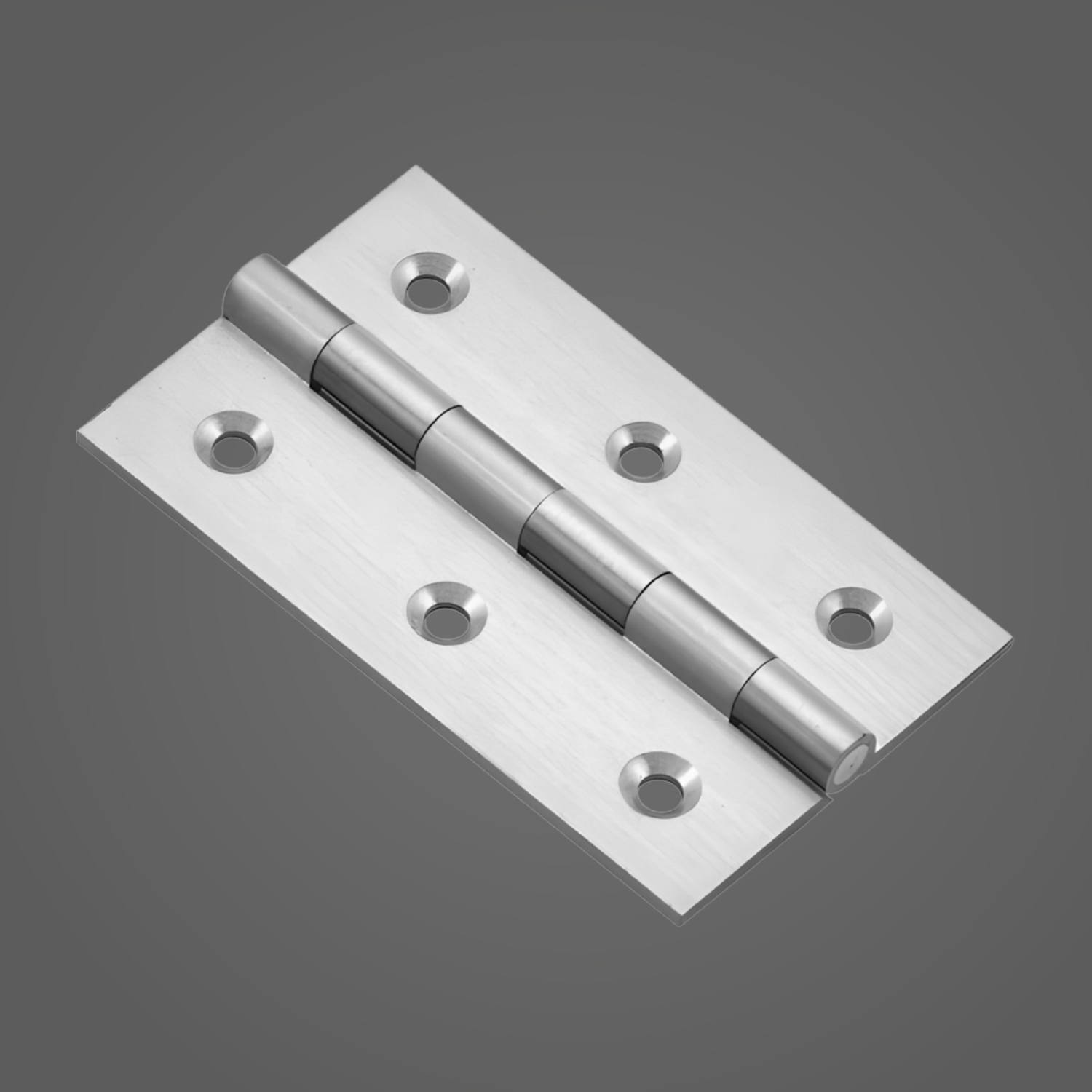 SS Brass Butt Hinges